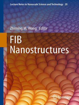 cover image of FIB Nanostructures